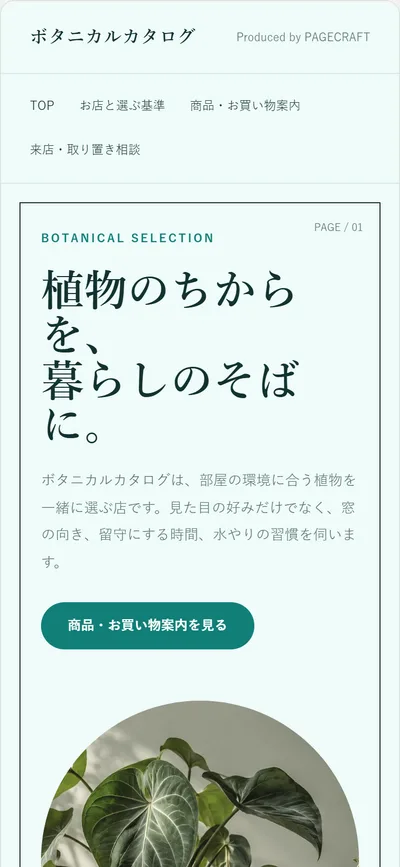 緑青と円い写真のデザイン見本